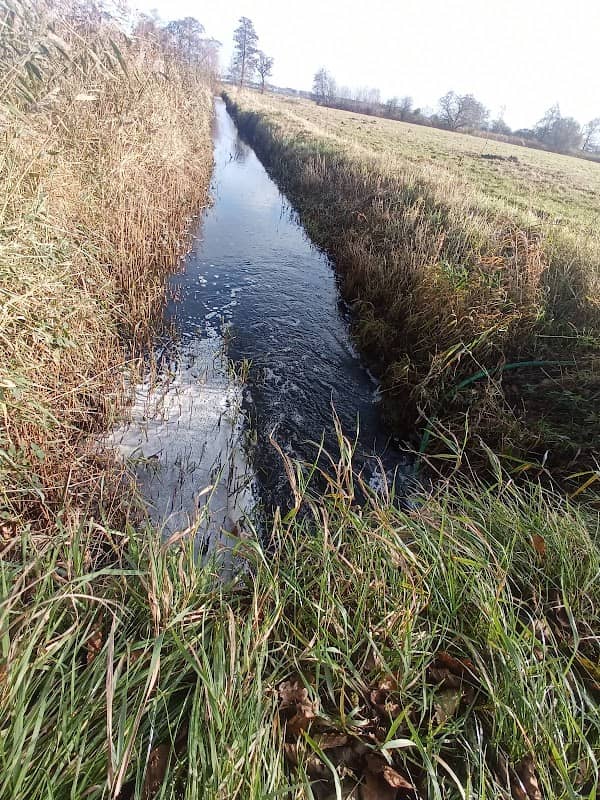 Kleines Pumpwerk am Delftstrom - Image 3