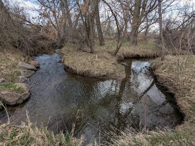 Maple Valley Park - Image 1