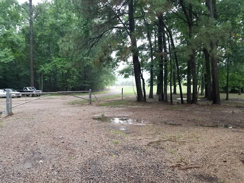 Spring Creek - Image 1