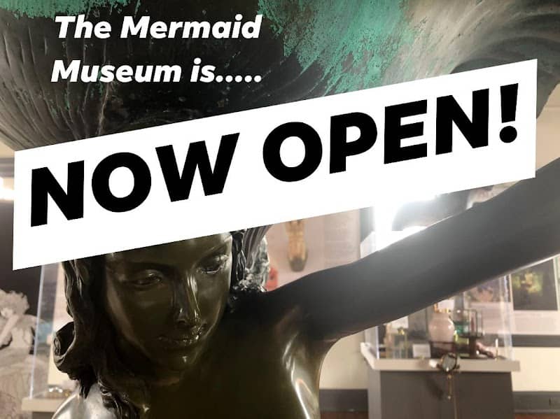 The Mermaid Museum® - Image 1