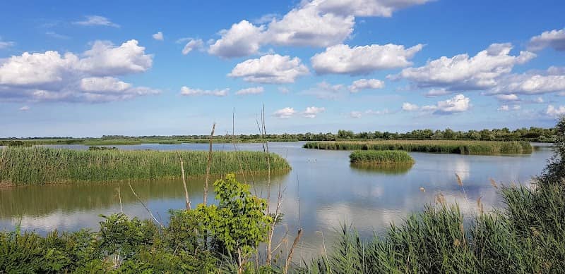 Zona umida di Campotto-Bassarone - Image 2