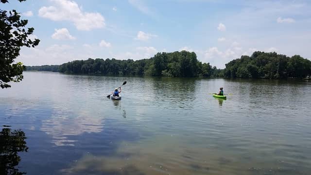West Boggs Park - Image 1