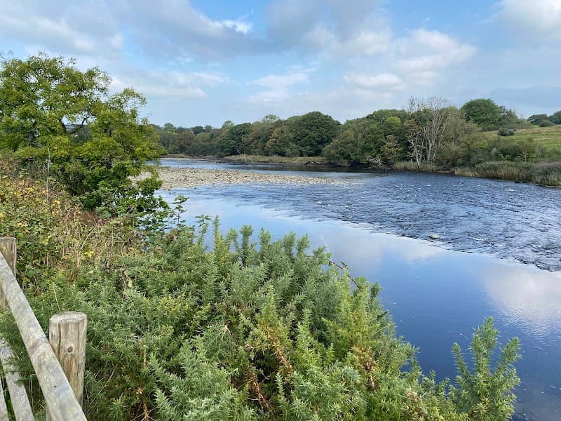 Welsh Wildlife Centre - Image 2