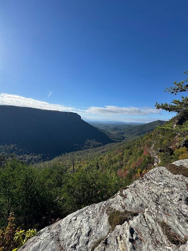 Pinch In Trail - Image 1