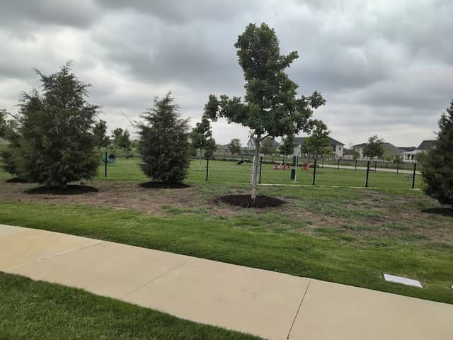 Pecan Square Dog Park - Image 2