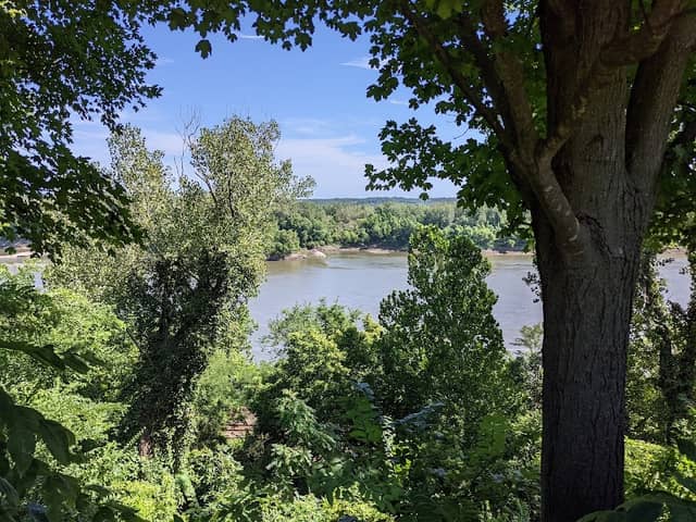Ellis-Porter Park - Image 2