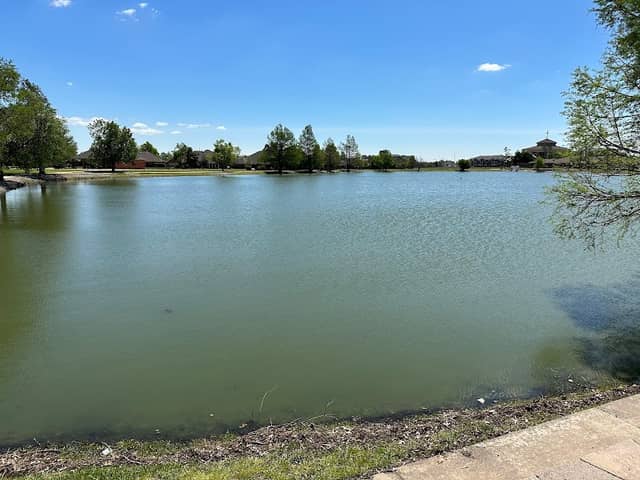 Castlerock Pond - Image 1