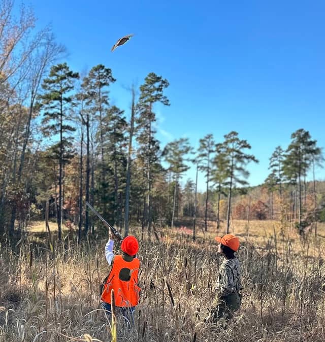 Forest Green Shooting Preserve - Image 2