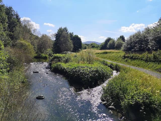 Ruhraue Bigge - Image 1