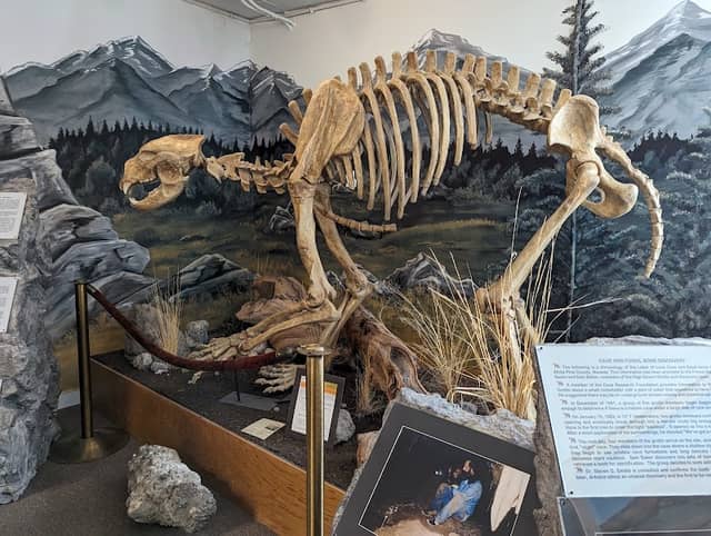 White Pine Public Museum - Image 1