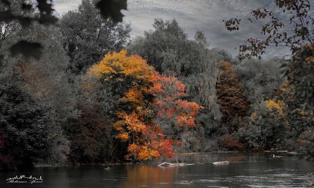 Zusammenfluss von Amper und Würm - Image 1