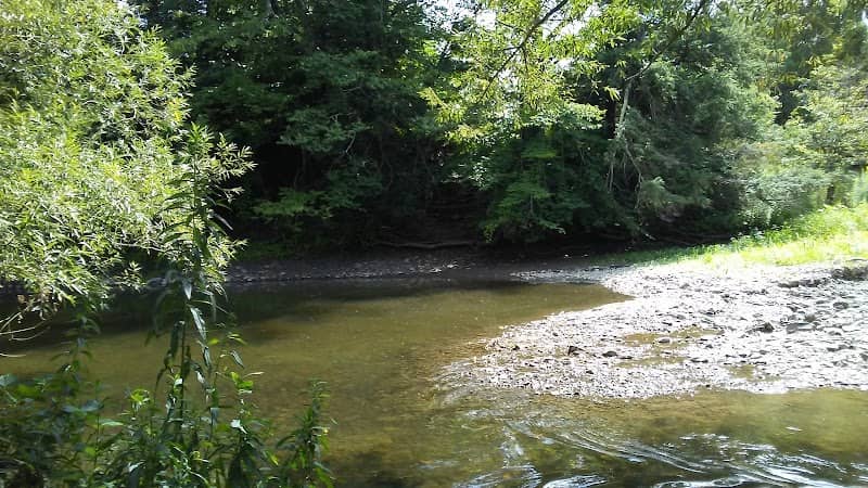 Campbell Meadows Natural Area - Image 1