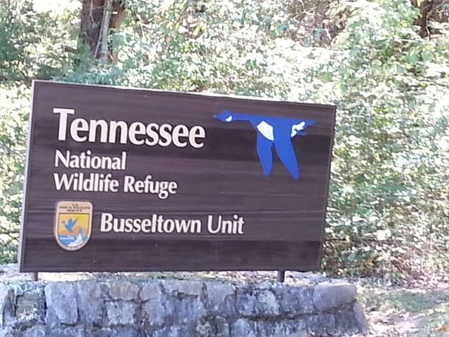 Tennessee National Wildlife Refuge - Busseltown Unit - Image 1