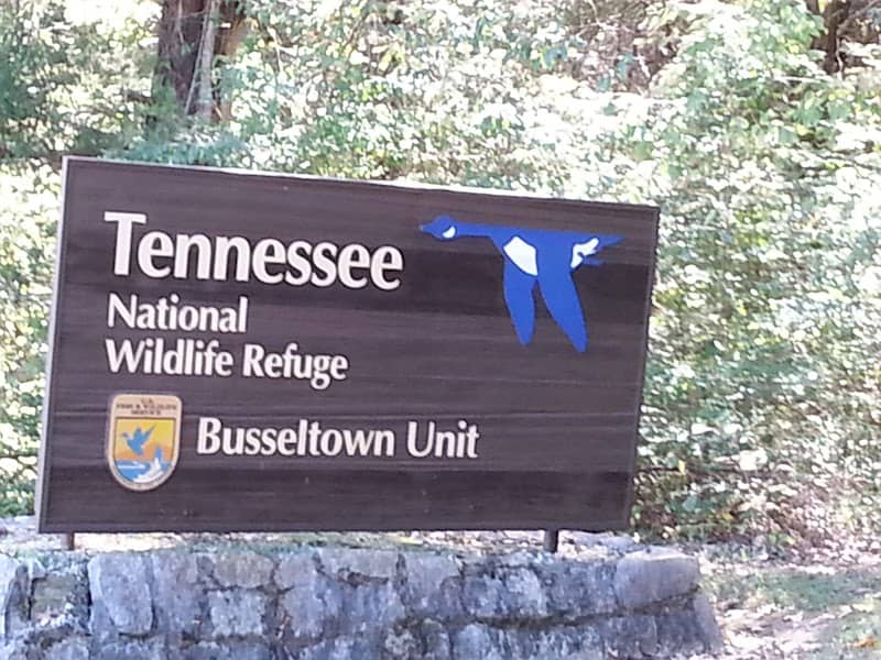 Tennessee National Wildlife Refuge - Busseltown Unit - Image 1