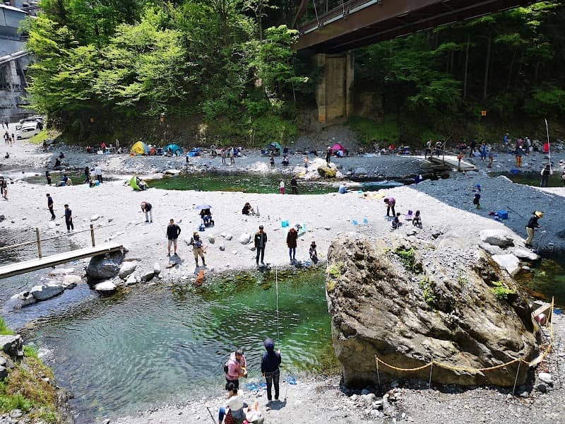 Hikawa International Fishing Spot - Image 2