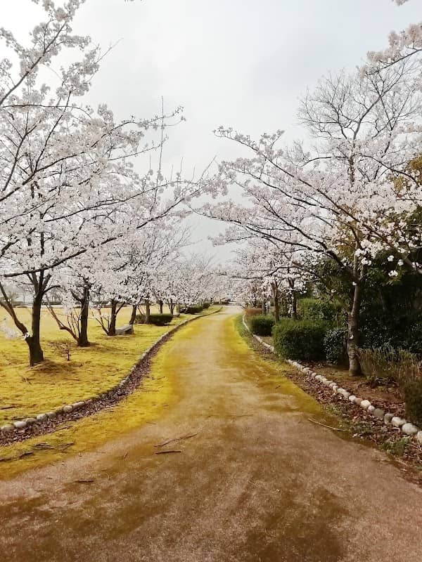 Ishikawa Science Park - Image 1