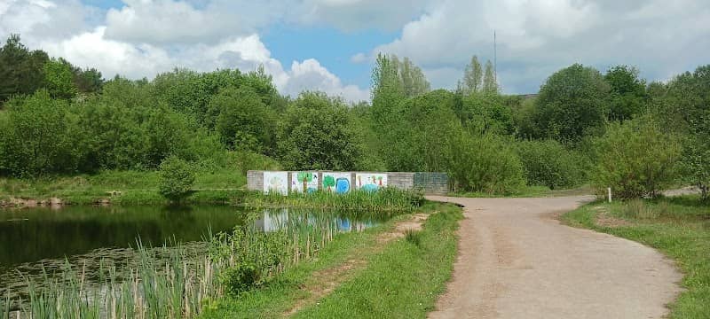 Colin Glen Forest Pond - Image 2