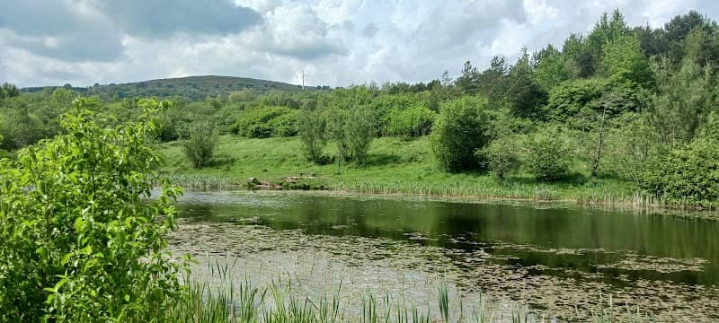 Colin Glen Forest Pond - Image 1