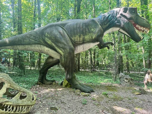 Dinosaur Park - Dino Park Malbork - Image 1