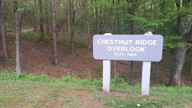 Chestnut Ridge Overlook - Image 2