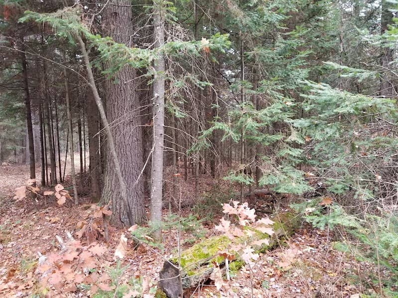 McNaughton Lake - Image 1