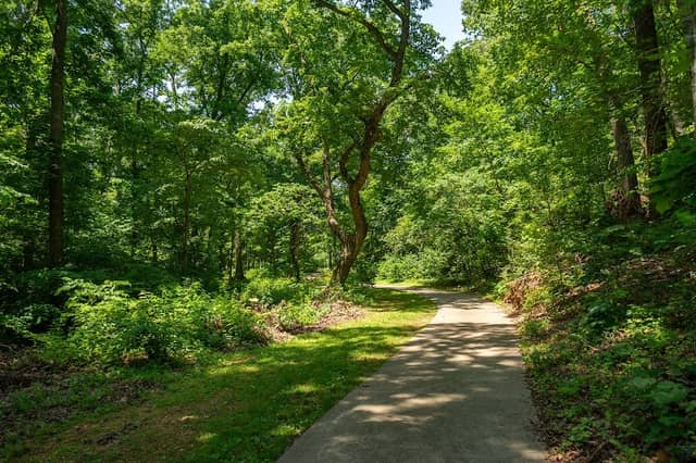 Branchwood Nature Trail - Image 1