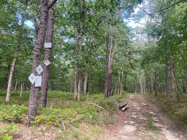MAURICE RIVER NATURE AREA, VINELAND - Image 1
