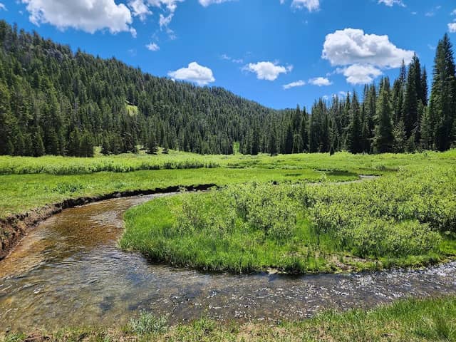 Franklin Basin - Image 2