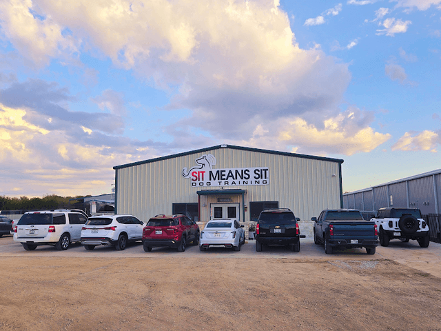 Sit Means Sit Dog Training Metroplex East - Image 1