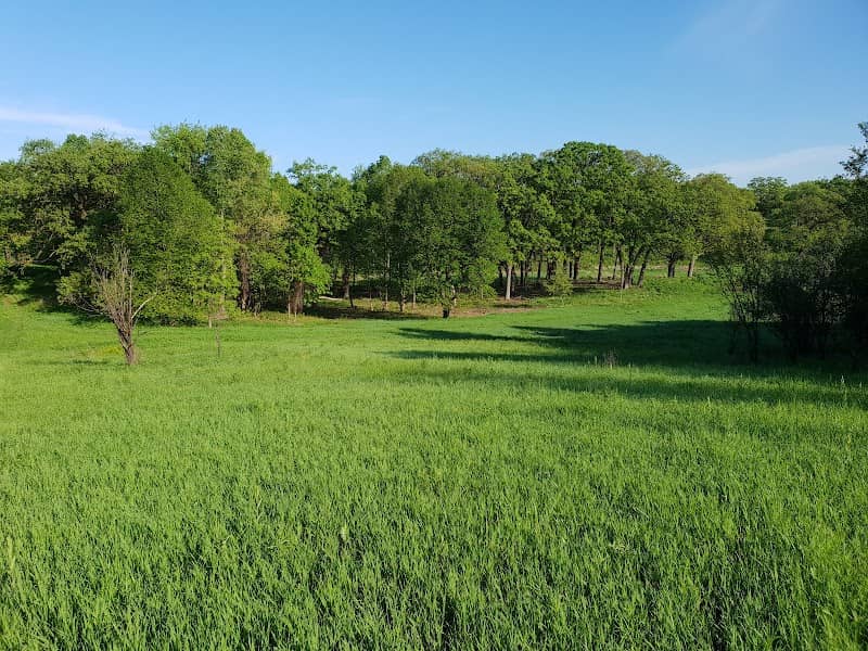 Spring Lake Forest Preserve - Image 3