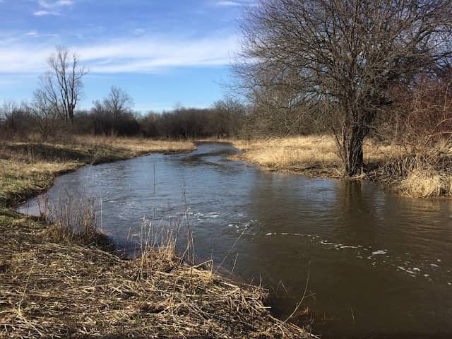 Spring Lake Forest Preserve - Image 1
