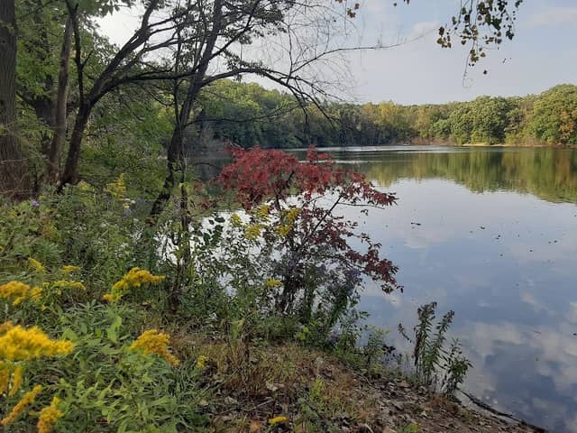 Spring Lake Forest Preserve - Image 2