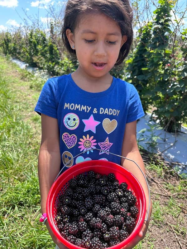 Kelleys Berry Farm - Image 1