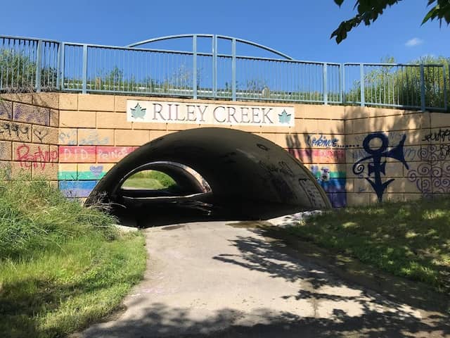 Graffiti Bridge - Image 1