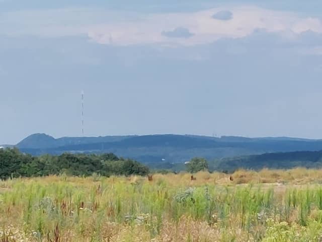 Bergehalde Ludweiler - Image 1