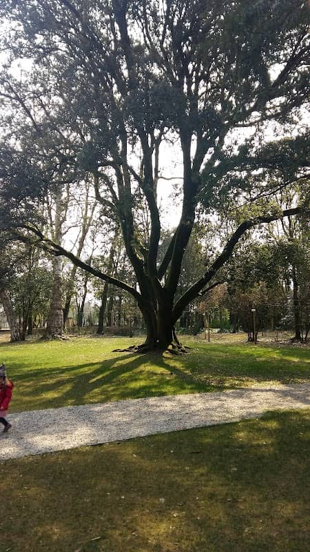 Parco di Villa Giovannina - Image 2