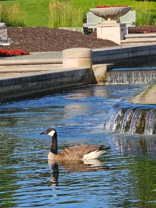 Kamm Island Park - Image 1