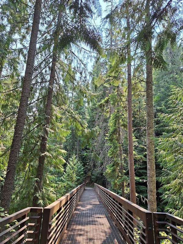 Myrtle Falls Trail - Image 1