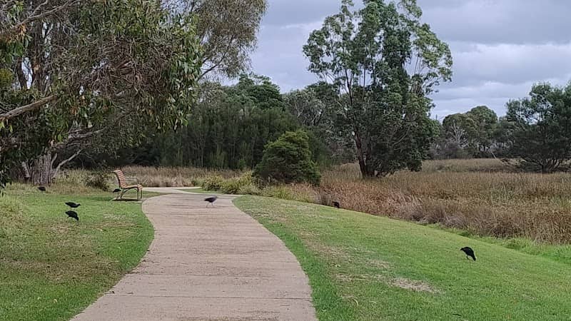 Creekwood Wetland - Image 1