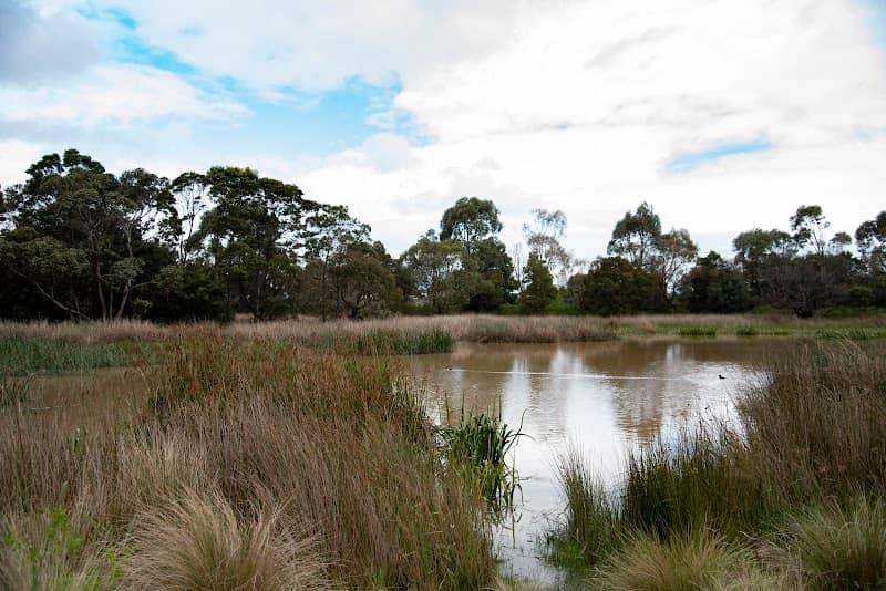 Creekwood Wetland - Image 2
