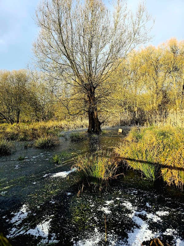 Moorhall Nature Reserve - Image 2