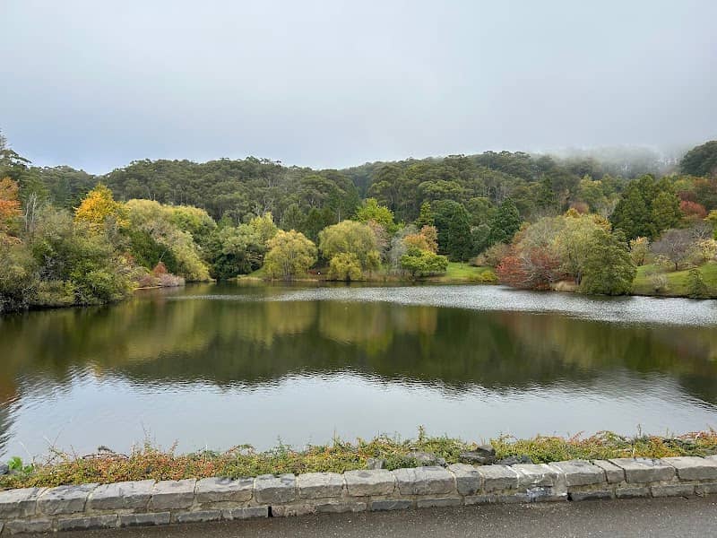 Mount Lofty Botanic Park - Image 2