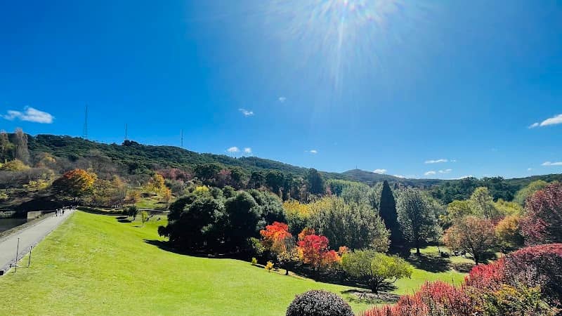Mount Lofty Botanic Park - Image 3
