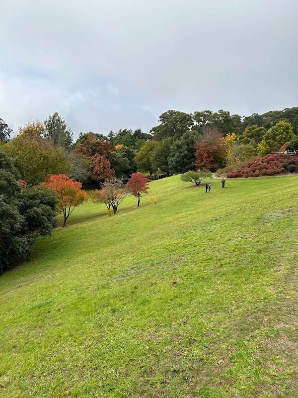 Mount Lofty Botanic Park - Image 1
