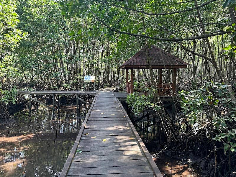 Mangrove Bontang - Image 1