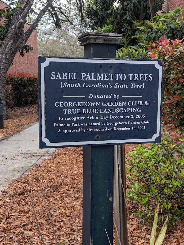 Palmetto Park - Image 1