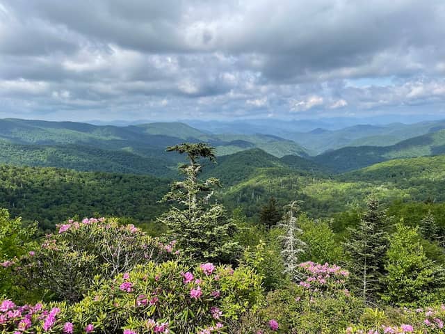 Beartrap Gap Overlook - Image 3