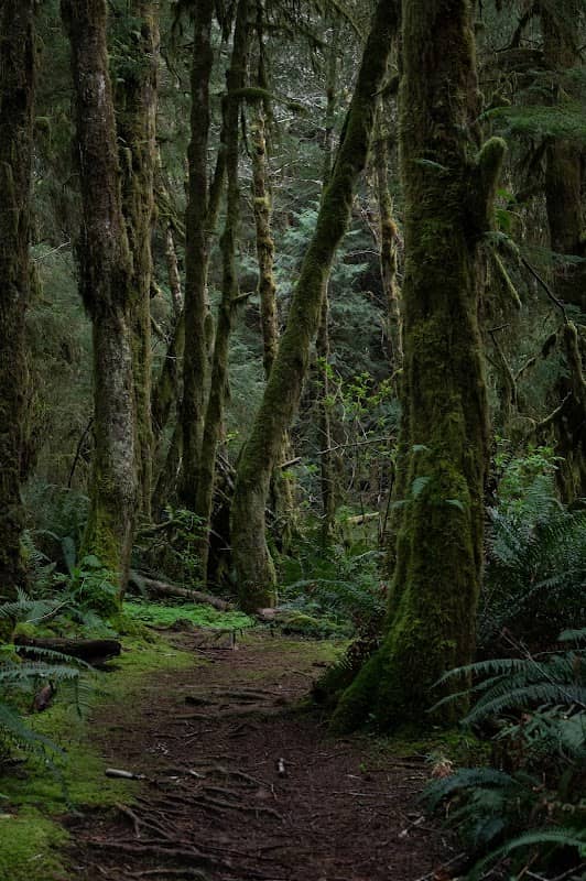 Nautical Hills Trail - Image 2