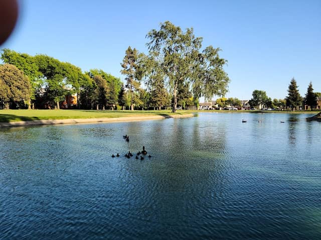 Dover Park - Image 1