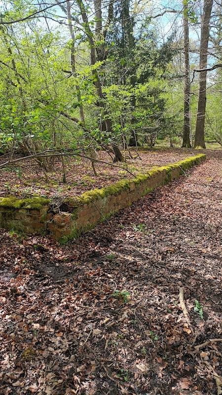 Lodge Copse - Image 1